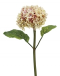 Euroflor | 64337.03 Hydrangea Stem L35cm crema/rosa Euroflor